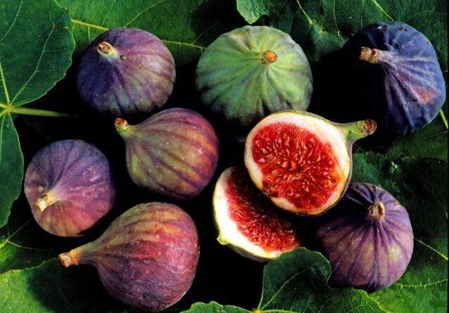 Figs are a useful product for men's health
