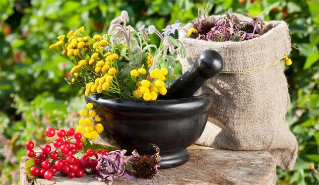 Medicinal plants that help to increase male potency
