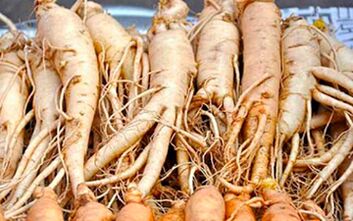 Ginseng root will help stimulate male sexual activity