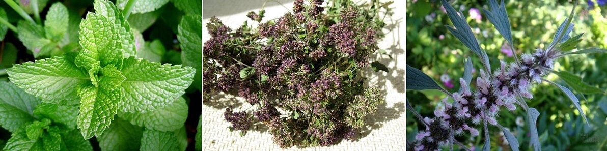 herbs for testicular pain when awake